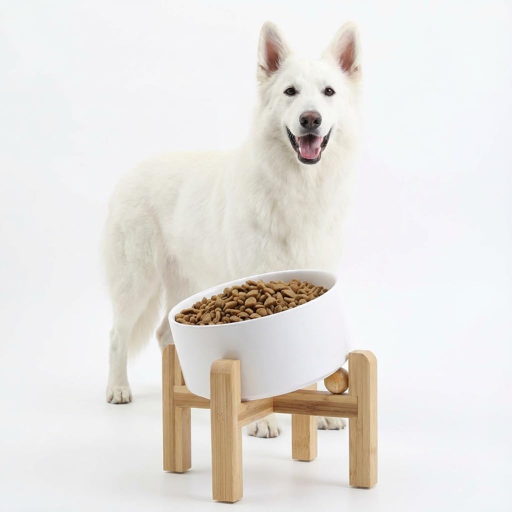 Petygooing White Elevated/Raised 15° Slanted Ceramic Dog Bowl for Large and Medium Breeds, Pet Anti Slip Feeding Bowl,Food Water Dish with Stand for Large and Medium Dogs (60 OZ / 7.6 Cup)
