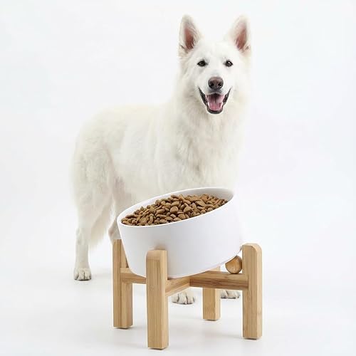 Miniatura 11 de Petygooing Tazón elevado/relevado de cerámica para perros de 15° inclinado para razas pequeñas y medianas, tazón antideslizante inclinado para Negro