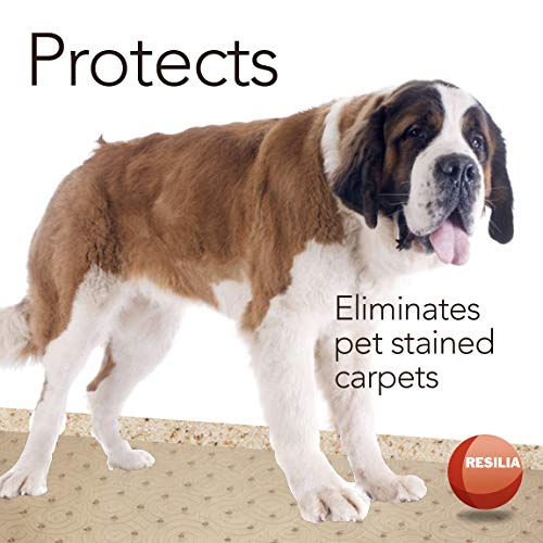 Resilia - Deluxe Clear Vinyl, Plastic Floor Runner/Protector For Deep Pile Carpet - Skid-Resistant, Swirl Spiral Pattern, (36 Inches Wide X 6 Feet Long) #TOP4