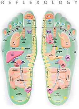 リフレクソロジー ポスター 足 手 耳 51olF2PiCYL._AC_UF350,