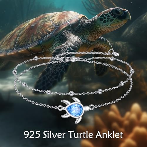 Image of TIGER RIDER Dragonfly Anklet Sterling Silver Dragonfly Gifts Jewelry for Women with Crystal Birthday Anniversary