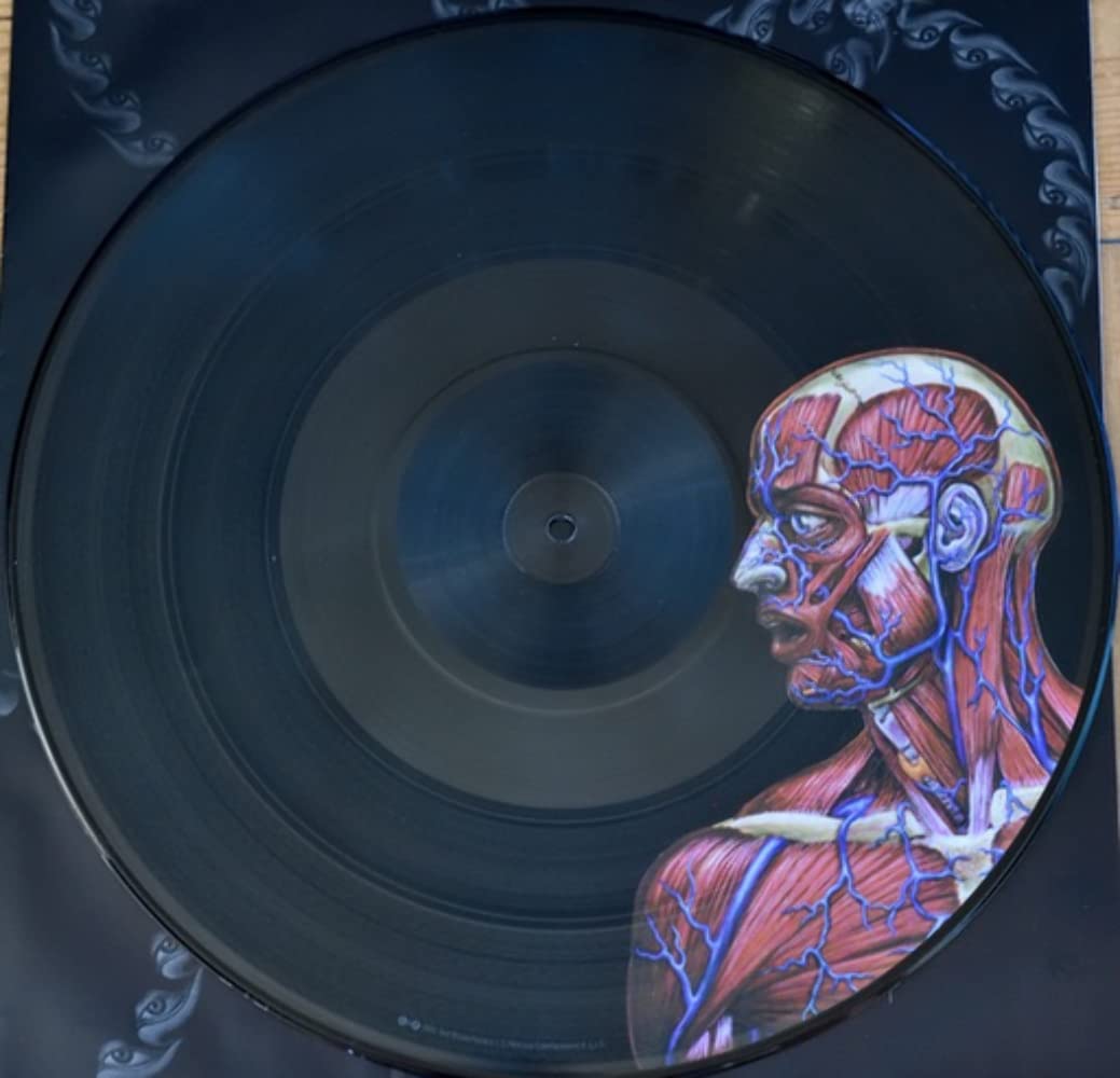 TOOL-LATERALUS - PICTURE LP