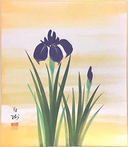 Amazon.co.jp: 川村白樹『あやめ』 色紙絵 : ホーム＆キッチン