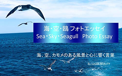 海 空 鴎 フォトエッセイ 海 空 カモメのある風景と心に響く言葉 Lucky Beauty 写真 Kindleストア Amazon