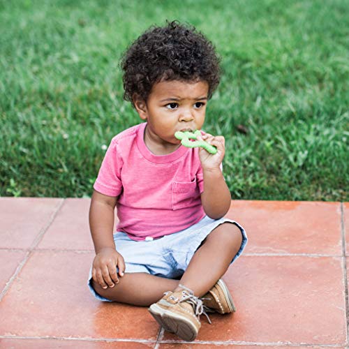 Image of Green Sprouts, Teether Front and Side Green 6 Months, 1 Count