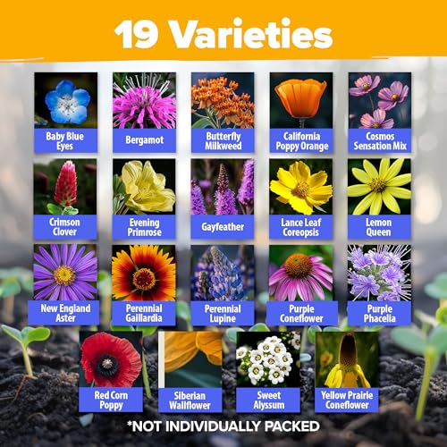 Image of HOME GROWN Premium Wildflower Seeds Bulk Mix | 59,300+ Perennial & Annual Flower Seed for Planting Outdoors | 19 Varieties Throw and Grow for Bees & Butterflies | 2 oz
