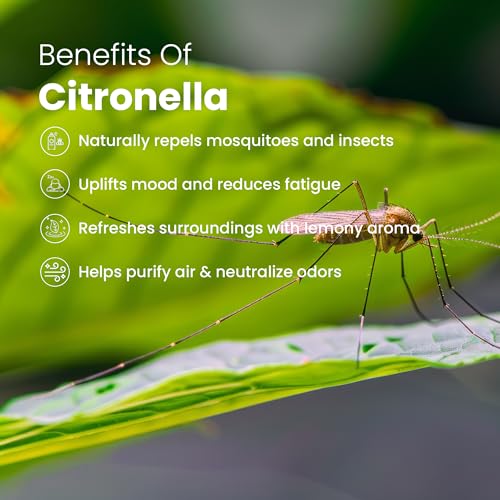 Image of Romyco Citronella Essential Oil 30ml | Natural Insect & Mosquito Repellent Oil | Therapeutic Grade Pure Natural Undiluted | Aromatherapy Diffuser