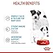 Royal Canin Starter Mousse Mother & Babydog | 12 x 195 g | Ultra Soft Mousse Feuchtnahrung | Für Hündinnen im letzten Drittel der Trächtigkeit und während der Säugezeit