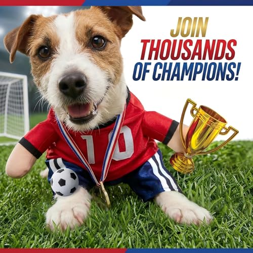Disfraz de fútbol para perro talla X-L miniatura 2