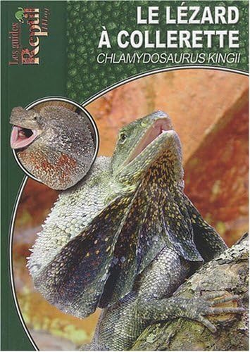  Le Lézard à Collerette: Chlamydosaurus Kingii