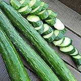 50 Unids Semillas de Pepino Largas Decapado Nutritivo Vegetal Fruta Jardín Patio Planta Cereales Semillas, Semillas de Flores, Semillas de Frutas, Semillas de Hierba, Semillas de Hierbas, Semill Sem