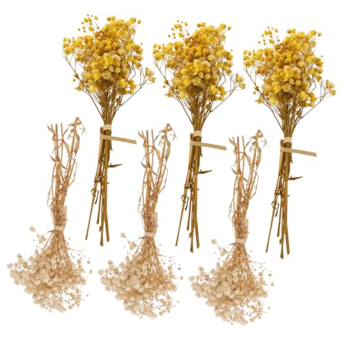 Ramo de 6 Flores Secas Naturales Babys Breath miniatura 1