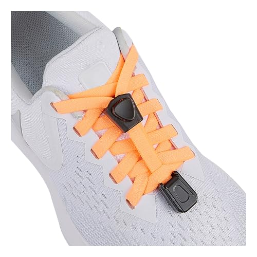 anan520 ^CX SCR - ΂ȂCRVXe SЂt, lIIW