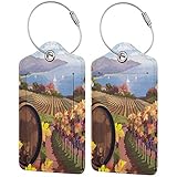 SIONOLY Gepäckanhänger Kofferanhänger mit Adressschild,Landschaft Landschaft Weinberg Landwirtschaft Weinbereitung Saison Trauben In Farm Print,Koffer und Gepäck auf Reisen,(4 Stück)