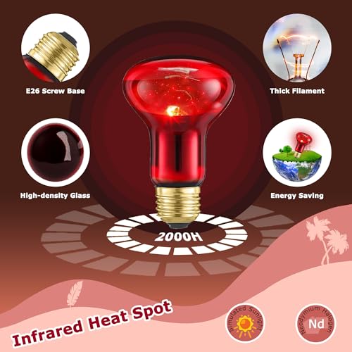 Image of 60W Red Infrared Heat Lamp Bulb for Reptiles - Basking Spot Light for Lizards, Bearded Dragons, Snakes & Chicks, Ideal E26 Heater for Terrariums, Chicken Coops & Brooders | 2 Pack