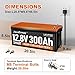 JavaEnegy Smart 12V 300Ah LiFePO4 Battery - 4000+ Deep Cycles Automotive Grade Rechargeable Lithium Battery Built-in 200A BMS with with Heating Fuction and APP Monitors Battery SOC Data