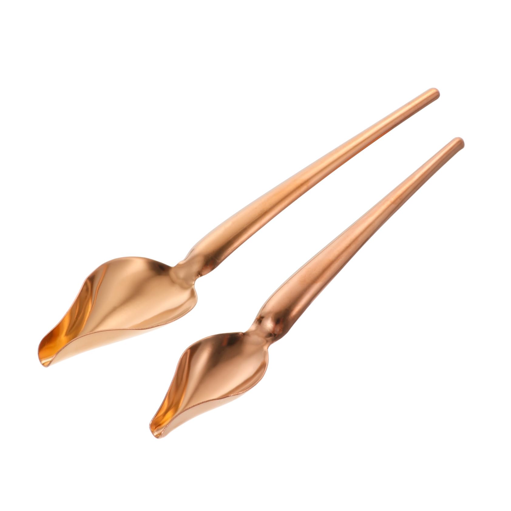 SOLUSTRE 2Pcs Precision Sauce Decorating Spoons Food Grade Drizzle Spoons for Desserts Syrups and Salad Dressings and Elegant Design