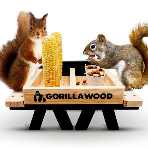 Picnic Table Squirrel Feeder available on Amazon