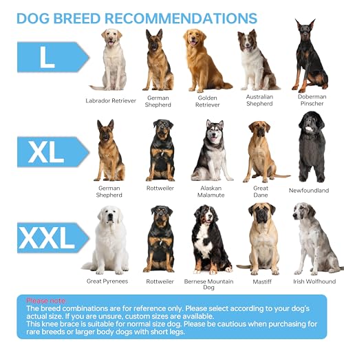 Moysoon Dog Knee Brace for Torn Acl Hind Leg - Protect Dog's Joints,Adjustable Front Back Leg Support Bracket for Warmth and Support, Four Leg Universal Dog Knee Brace,XS. by Moysoon - Image 9