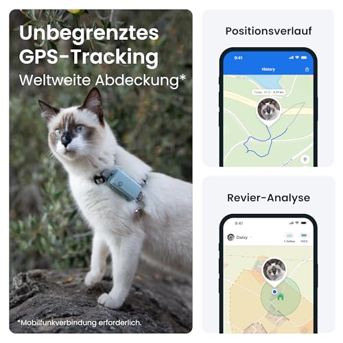 Tractive CAT Mini GPS Tracker für Katzen | Marktführer | Live-Ortung | Positionsverlauf | Gesundheitswarnungen | Aktivitätstracking | Halsband inkludiert | Abo Erforderlich (Mint)