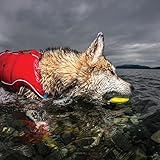 PetSafe Kurgo Apportierspielzeug für Hunde - Fördert das Spielen im Wasser und Bewegung - Langlebiges Schwimmspielzeug - Leuchtende Farben - Schwimmende Apportiersteine - Ungiftig - 3er-Pack