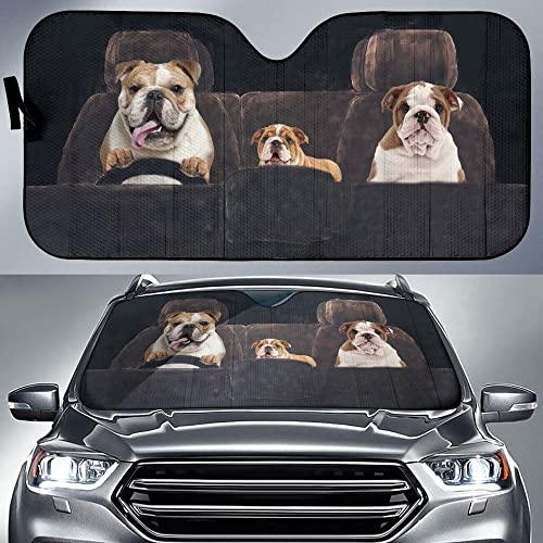 Couverture pare-brise voiture pare-soleil pliable universel pour auto et SUV M