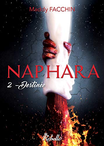 Télécharger Naphara, Tome 2 : Destinée PDF