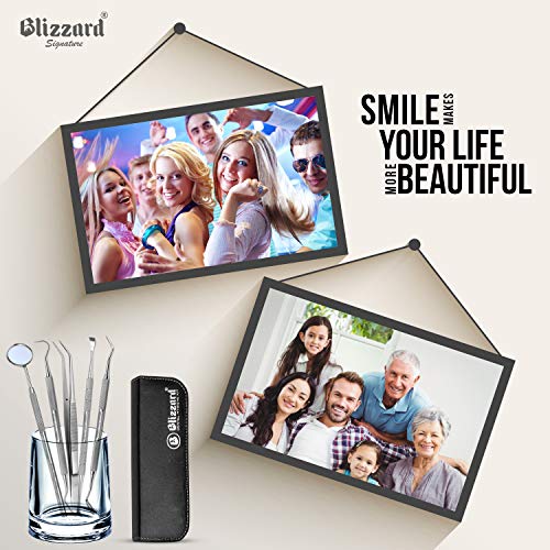 Dental Tools By Blizzard - Plaque Remover For Teeth - Professional Dental Hygiene Cleaning Kit 5-Pcs, German Stainless Steel Oral Care Set With Tweezer, Tartar Scalar, Mouth Mirror, Travel Case #TOP4