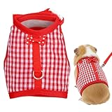Harnais rouge pour chat - Harnais pour cochon d'Inde avec laisse réglable de 140 cm - Pour lapins, chats, petits chiens et autres petits animaux domestiques