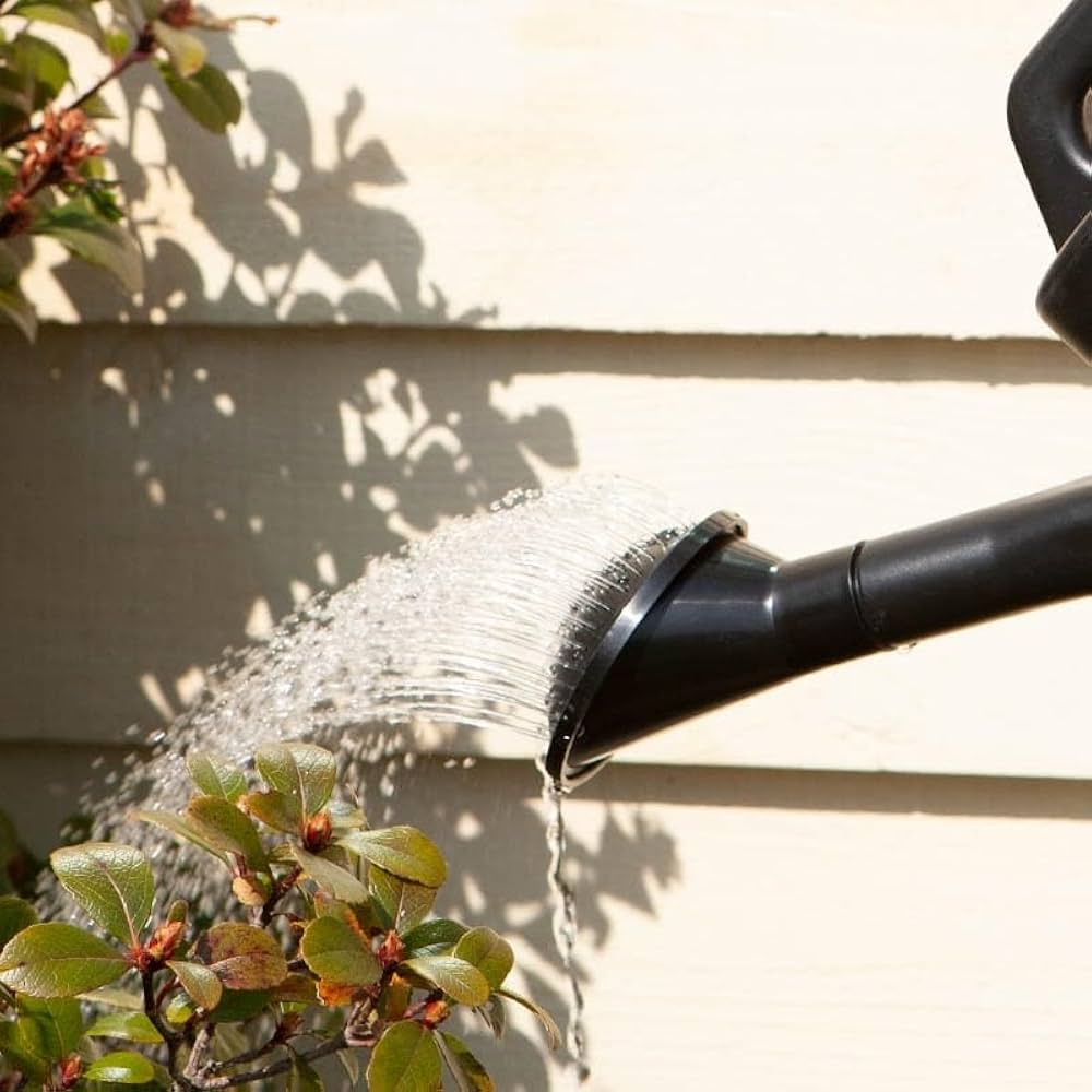 Amazon.co.jp: ダルトン(Dulton) ウォータリング カン 5L シンプル Amazon.co.jp: ダルトン(Dulton) ウォータリング カン 5L シンプル