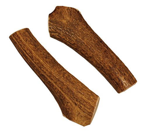 Elkhorn Premium Chews - Large Whole Twin Pack (for 35-65 lb Dogs) Premium Grade Elk Antlers for Dogs (2 Pieces) Sourced in the USA