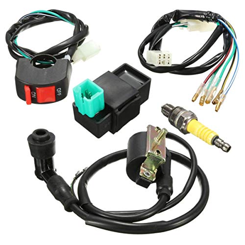 Bobine d'allumage et CDI haute performance pour remettre à neuf votre pit bike
