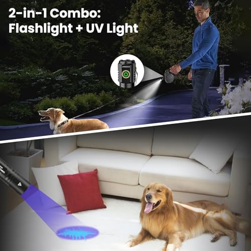 Mini Flashlight & UV Light Combo, Rechargeable EDC Pocket Flashlight with 5 Modes, Small Flash Light with Magnetic Base,365nm UV Flashlight, Black Light for Detection.