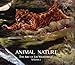 Animal Nature the Art of Joe Weatherly Volume 2