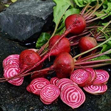 vegherb5M Seeds Of Chioggia Beet Conventional & Organic