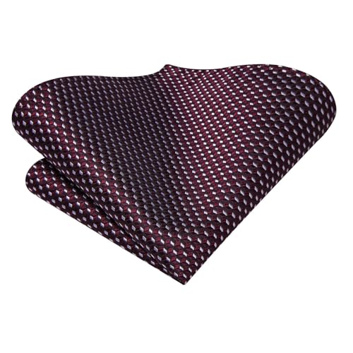 Image of Hi-Tie 70 inches Ties for Men Silk Extra Long Necktie and Pocket Square Cufflinks Set Men Big and Tall Tie Business