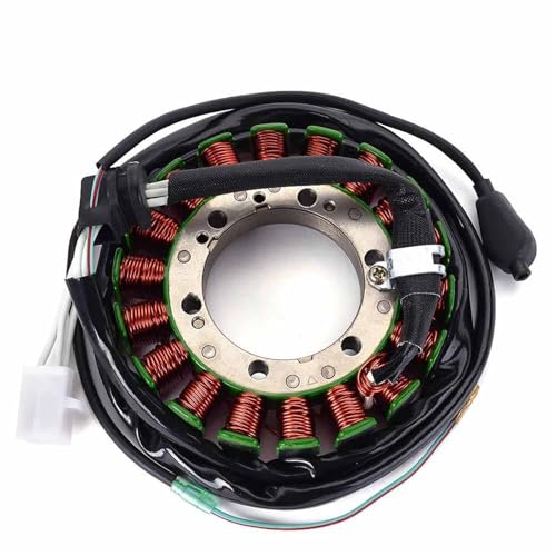 Bobine de stator pour réparer l'alternateur de FMX650 SLR650