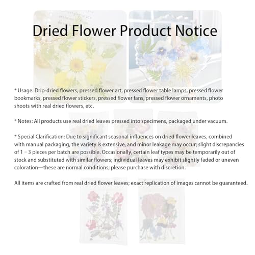 Flores prensadas surtidas 5 bolsas, 100 piezas artesanales miniatura 7
