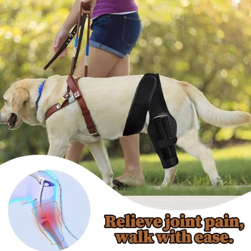 YUVKIN 1 Pcs Knieschützer für Hunde, Stütze für Hinterbeine von Hunden, aus Neopren, geeignet für Kreuzbandrisse, Bänderverletzungen, Patellaluxation oder Osteoarthritis (Größe XL)