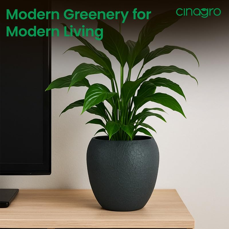 Image of CINAGRO Metal Planter Pot with Stand for Indoor Plants, Round Decorative Flower Pot, Rust-Resistant, Modern Plant Holder for Home, Balcony, Office (13.9 x 12.7 cm, Shadow Husk)