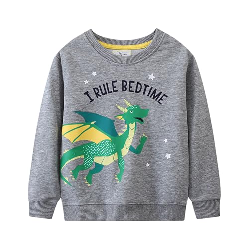 Boys Sweatshirts Casual Sweatshirts Cotton Sweatshirts Long Sleeve T-shirts Crew Neck Cartoon Tops for Boys-729