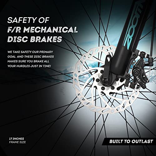 Image of Snow Leopard 26T