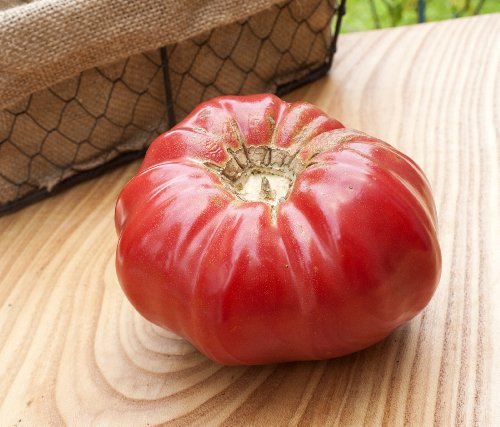 Pink Brandywine Sudduths Strain Beefsteak Heirloom Tomato Premium Seed Packet + More