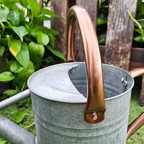 yourjoy Steel Watering Can Sliver Galvanized Steel Watering Can with Copper Accents,Removable Rosette-Diffuser,One-Gallon