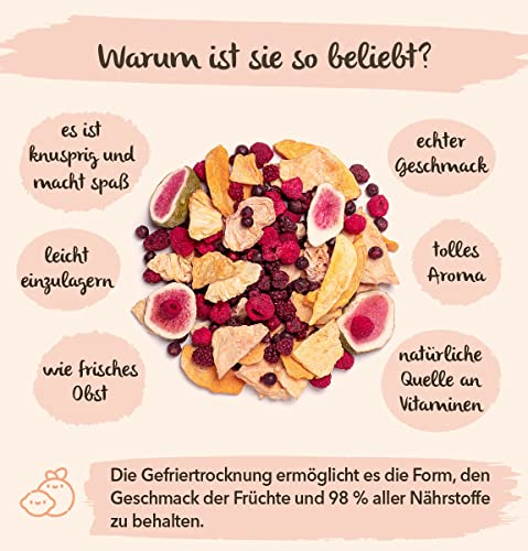 BRIX Gefriergetrocknete Drachenfrucht | Natürliche, getrocknete Dragon Fruit 95 g | Great Taste Award für Trockenfrüchte | Gentechnikfrei, glutenfrei, vegan, Vitamine bleiben erhalten