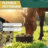ALL-WIN Horse Wafer Alfalfa + Avena 18 kg | Getreidefreies Pferdefutter ohne Zuckerzusatz | Mit Luzerne & Grünhafer – Fördert Verdauung, Kautätigkeit & Muskelaufbau | Natürliches Ergänzungsfutter