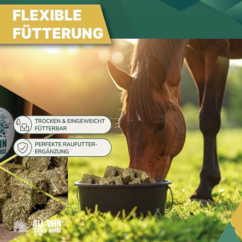 ALL-WIN Horse Wafer Alfalfa + Avena 18 kg | Getreidefreies Pferdefutter ohne Zuckerzusatz | Mit Luzerne & Grünhafer – Fördert Verdauung, Kautätigkeit & Muskelaufbau | Natürliches Ergänzungsfutter