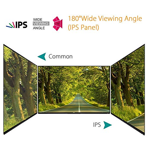 Image of Eyoyo 10 inch HDMI 1920x1200 IPS LCD Screen Monitor Display with BNC VGA AV Output with Built-in Loudspeakers for CCTV /DVD /PC /Laptop /DVR /CCD /Camera