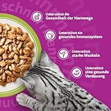 Whiskas Senior 7+ Katzennassfutter Gemischte Auswahl in Sauce, 48 Portionsbeutel, 12x85g (4er Pack) – Hochwertiges Katzenfutter nass, für Katzen ab 7 Jahren und älter