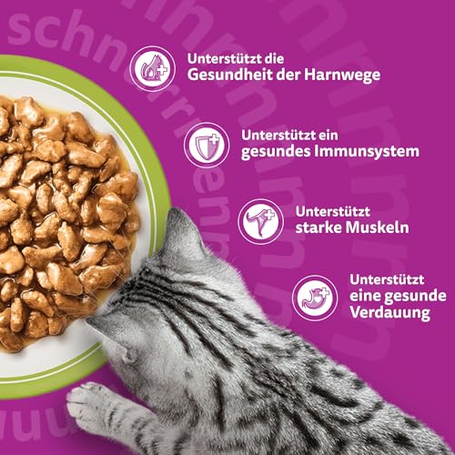 Whiskas Senior 7+ Katzennassfutter Gemischte Auswahl in Gelee, 84 Portionsbeutel, 84x85g (1 Großpackung) – Hochwertiges Katzenfutter nass, für Katzen ab 7 Jahren und älter